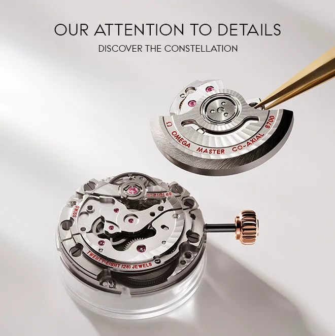 OUR ATTENTION TO DETAILS - DISCOVER THE CONSTELLATION