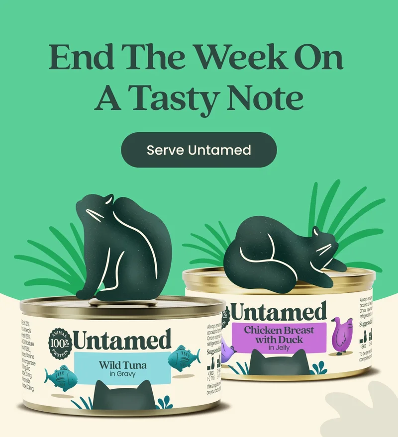 End The Week On A Tasty Note. Serve Untamed