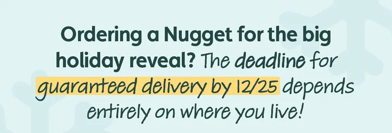 Ordering a Nugget for the big holiday reveal? The deadline for guaranteed delivery by 12/25 depends entirely on where you live!