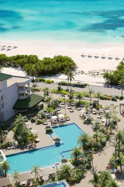 An overhead glimpse at a pool surrounded by palm trees, with beach and ocean just steps away.