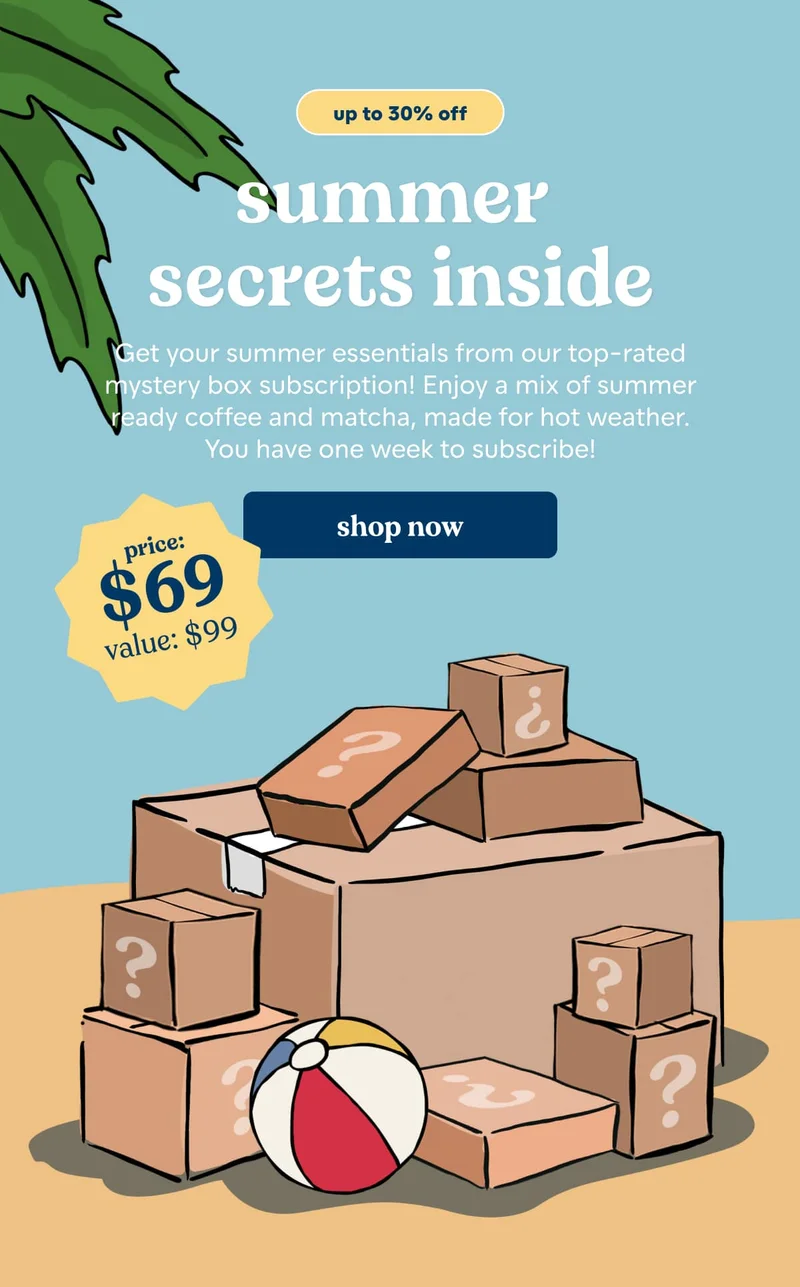 summer mystery box