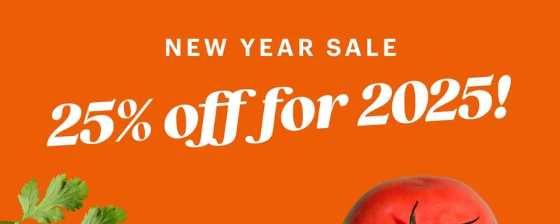 NEW YEAR SALE 25% Off for 2025