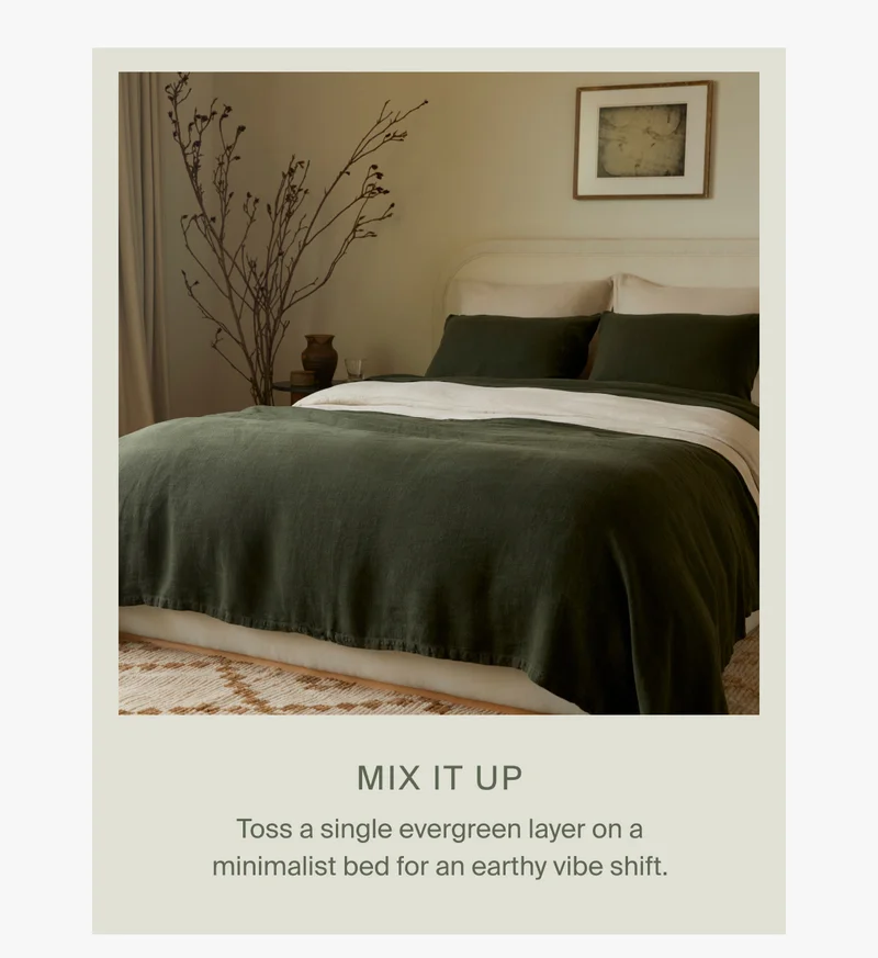 Shop Evergreen