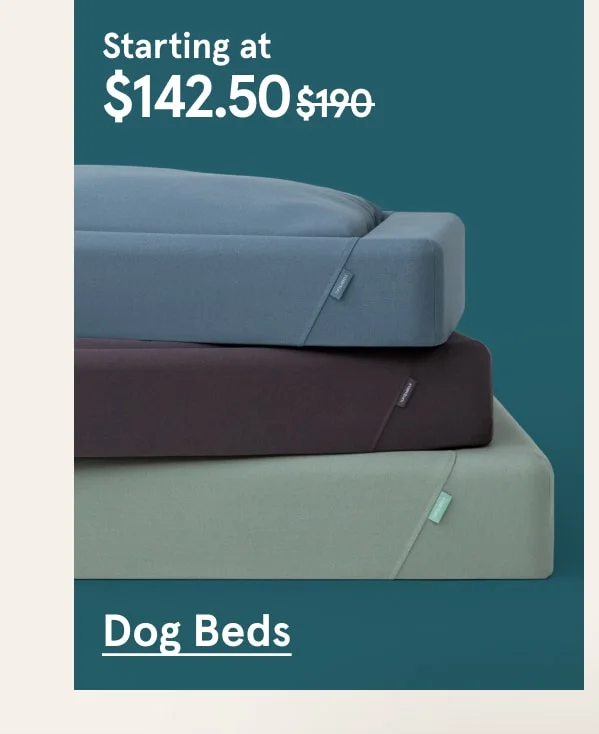 Dog Beds