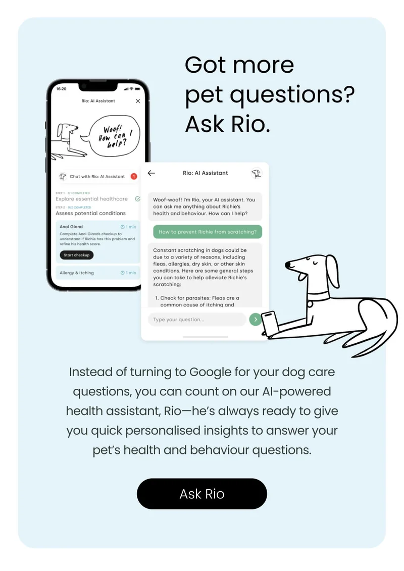 Got more pet questions? - Ask Rio