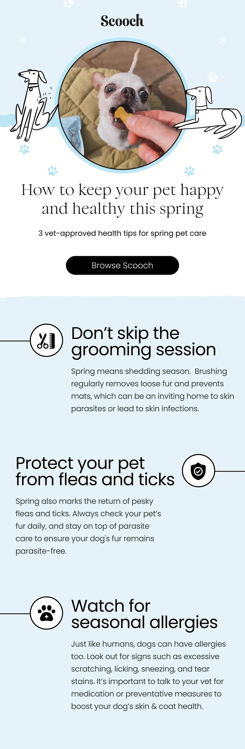 3 vet-approved health tips for spring pet care - Browse Scooch