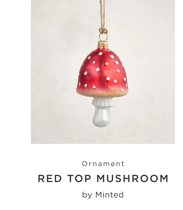 Red Top Mushroom