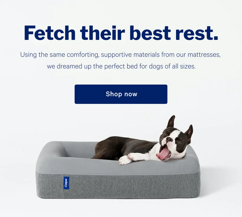Fetch their best rest. >> Using the same comforting, supportive materials from our mattresses, we dreamed up the perfect bed for dogs of all sizes. >> Shop now >>