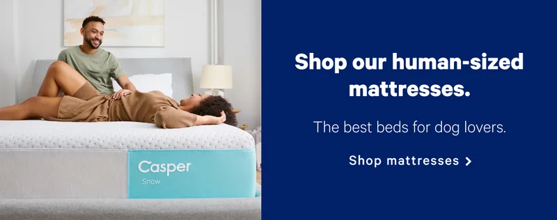 Shop our human-sized mattresses. >> The best beds for dog lovers. >> Shop mattresses >>