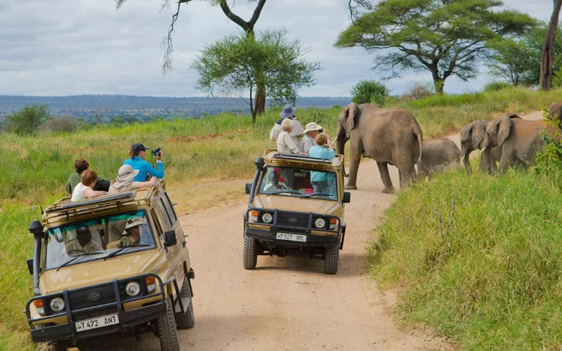 Tarangire National Park is a good alternative to the Serengeti, where visitors on safari can expect intimate — and often surprising — wildlife encounters.