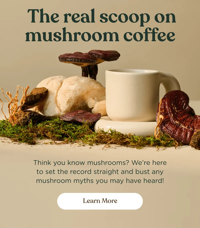 The real scoop on mushroom coffee | Think you know mushrooms? We’re here to set the record straight and bust any mushroom myths you may have heard! | Learn more