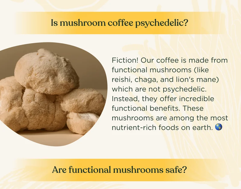 Is mushroom coffee psychedelic?&nbsp;| Fiction! Our coffee is made from functional mushrooms (like reishi, chaga, and lion's mane) which are not psychedelic. Instead, they offer incredible functional benefits. These mushrooms are among the most nutrient-rich foods on earth. 🌎