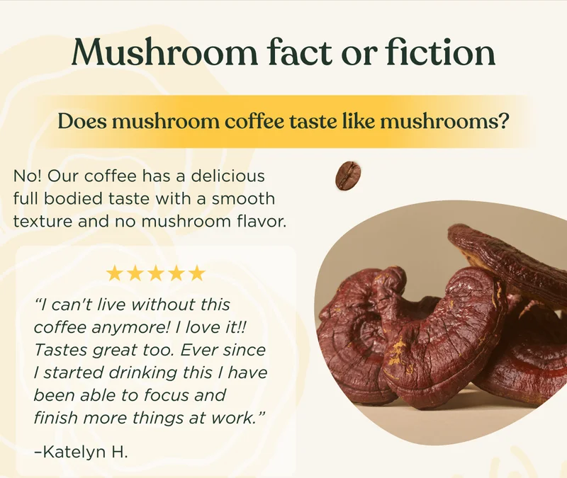 Mushroom fact or fiction | Does mushroom coffee taste like mushrooms? | No! Our coffee has a delicious full bodied taste with a smooth texture and no mushroom flavor. | “I can't live without this coffee anymore! I love it!! Tastes great too. Ever since I started drinking this I have been able to focus and finish more things at work.” –Katelyn H.