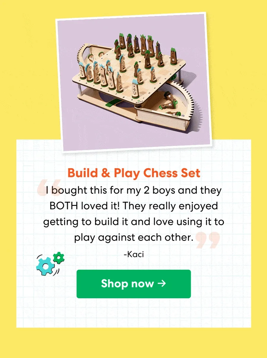 Build & Play Chess Set
