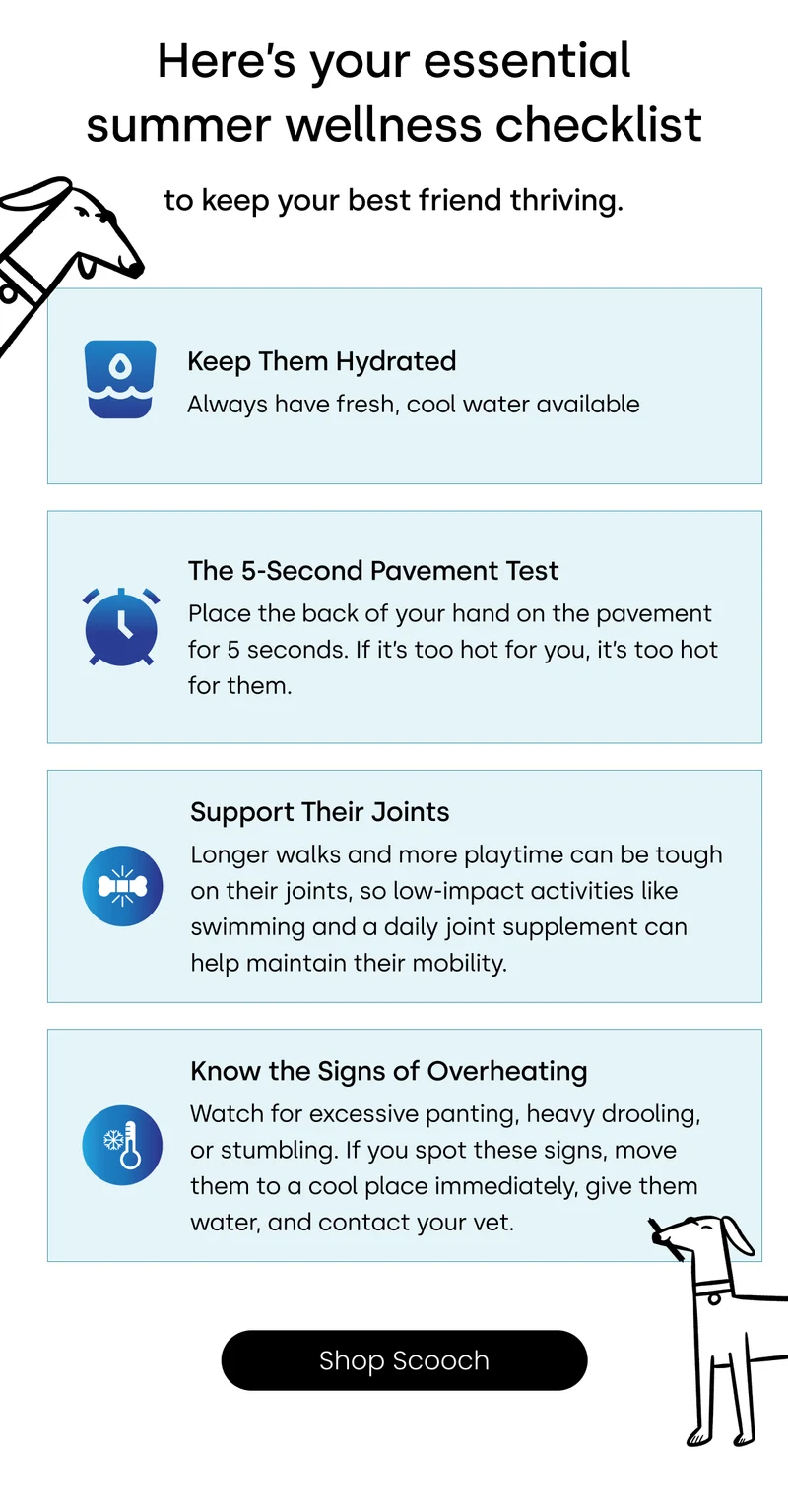 Here’s your essential summer wellness checklist