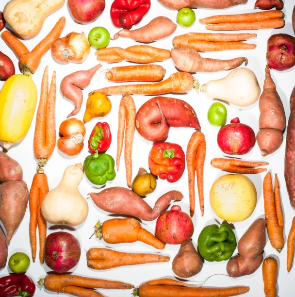 New research shows that eating a wide variety of plants is one of the strongest drivers of a balanced gut microbiome, whether you’re vegan, vegetarian, or an omnivore.
