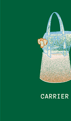 Carrier