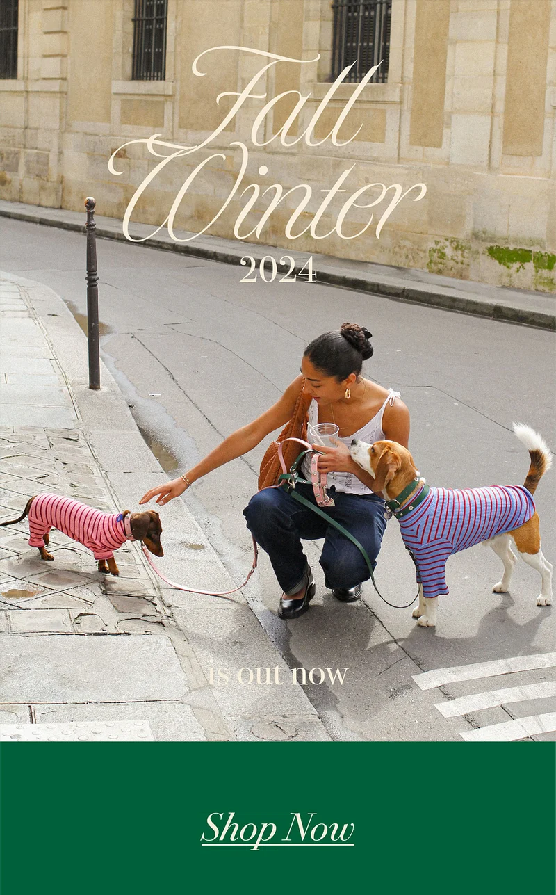 Fall winter 2024