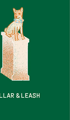 Collar & Leash