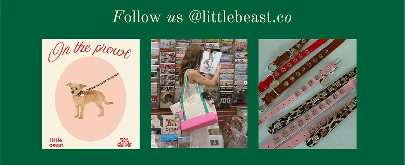 Follow us on Instagram