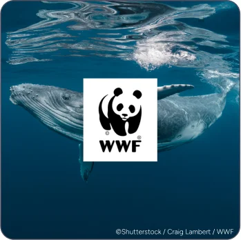 WWF