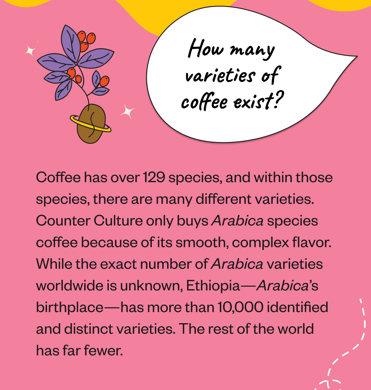 How many varieties of coffee exist? Coffee has over 129 species, and within those species, there are many different varieties. Counter Culture only buys Arabica species because of its smooth, complex flavor. While the exact number of Arabica varieties worldwide is unknown, Ethiopia—Arabica’s birthplace—has more than 10,000 identified and distinct varieties. The rest of the world has far fewer.