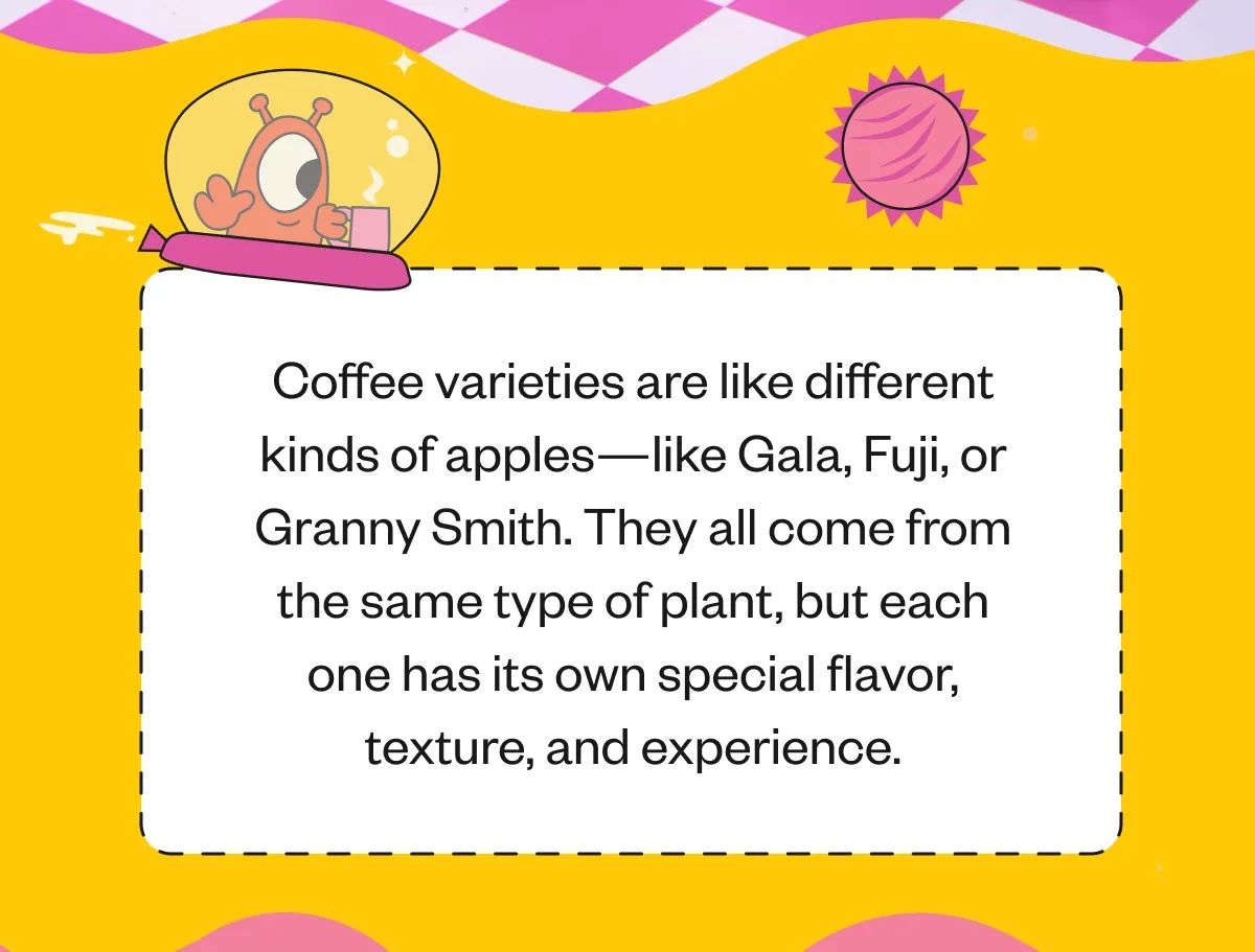 Coffee varieties are like different kinds of apples—like Gala, Fuji, or Granny Smith. They all come from the same type of plant, but each one has its own special flavor, texture, and experience.