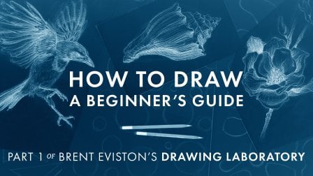 How to Draw: A Beginner’s Guide - Part 1 of The Drawing Laboratory