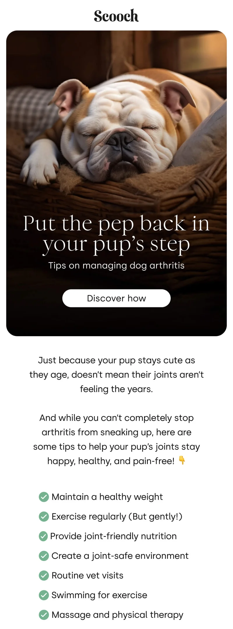 Tips on managing dog arthritis - Discover How