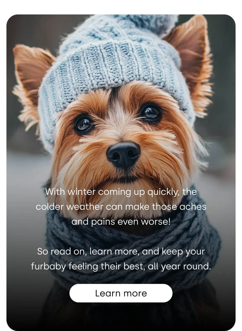 here are some tips to help your pup’s joints stay happy, healthy, and pain-free! - Learn More