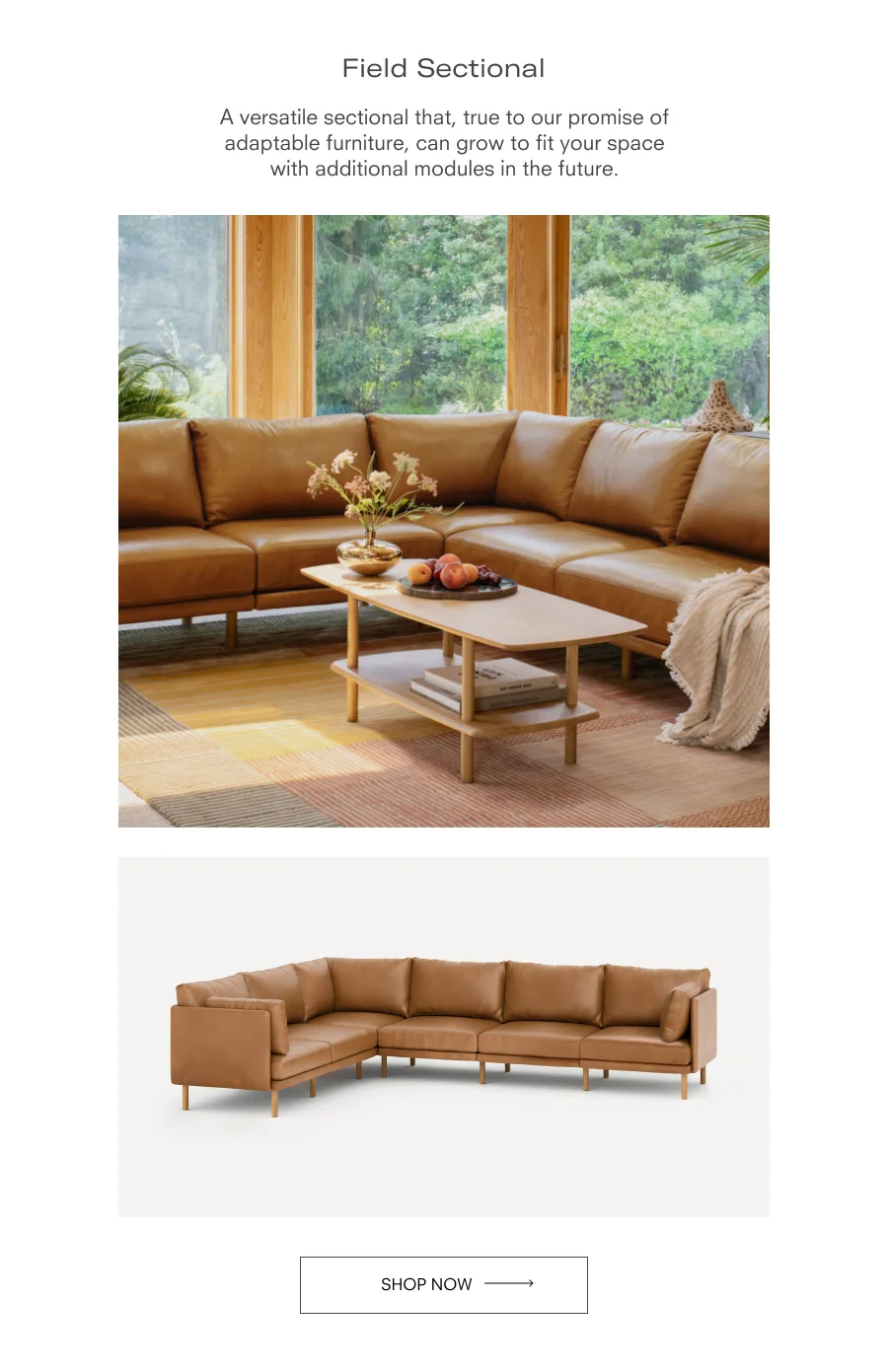 Field Sectional