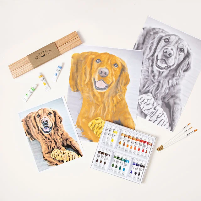 Custom Pet Paint by Shadows Kit®