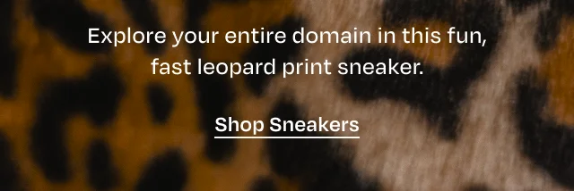 Shop Sneakers - Image