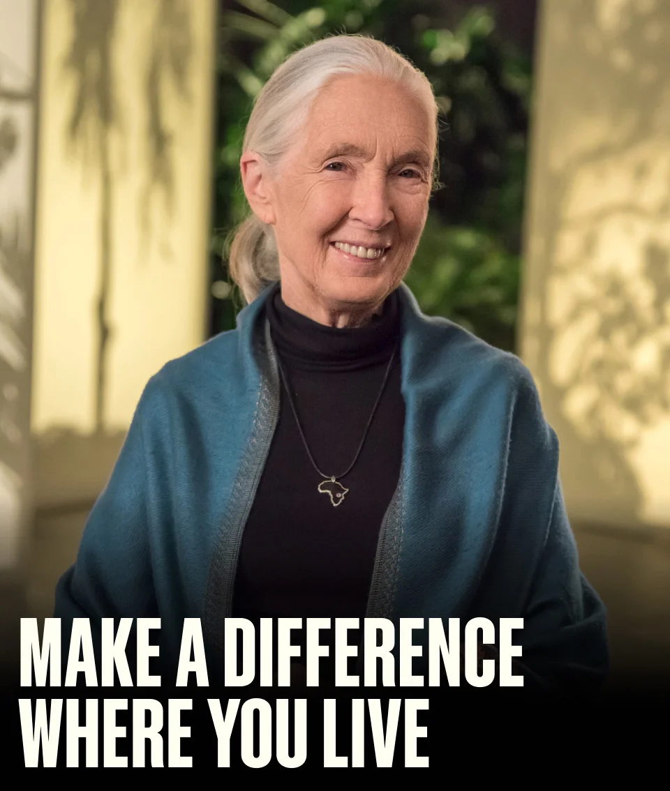 Make a difference where you live