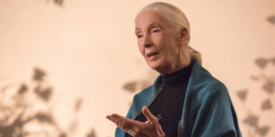 Dr. Jane Goodall