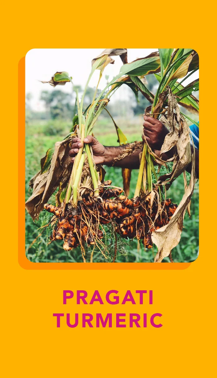 Pragati Turmeric