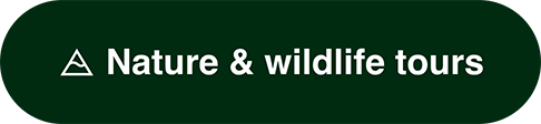 Nature & wildlife tours. Image Description: A mountain icon.