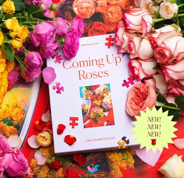 Coming up Roses - New! New! New!
