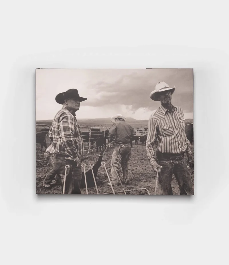 Image of Open Range
