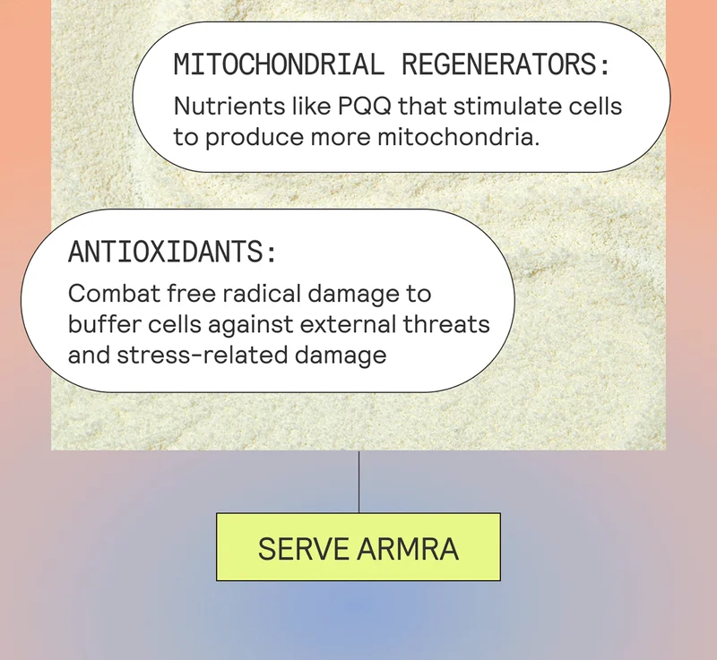 Mitochondrial Regenerators: Nutrients like PQQ that stimulate cells to produce more mitochondria Antioxidants: Combat free radical damage to buffer cells against external threats and stress-related damage