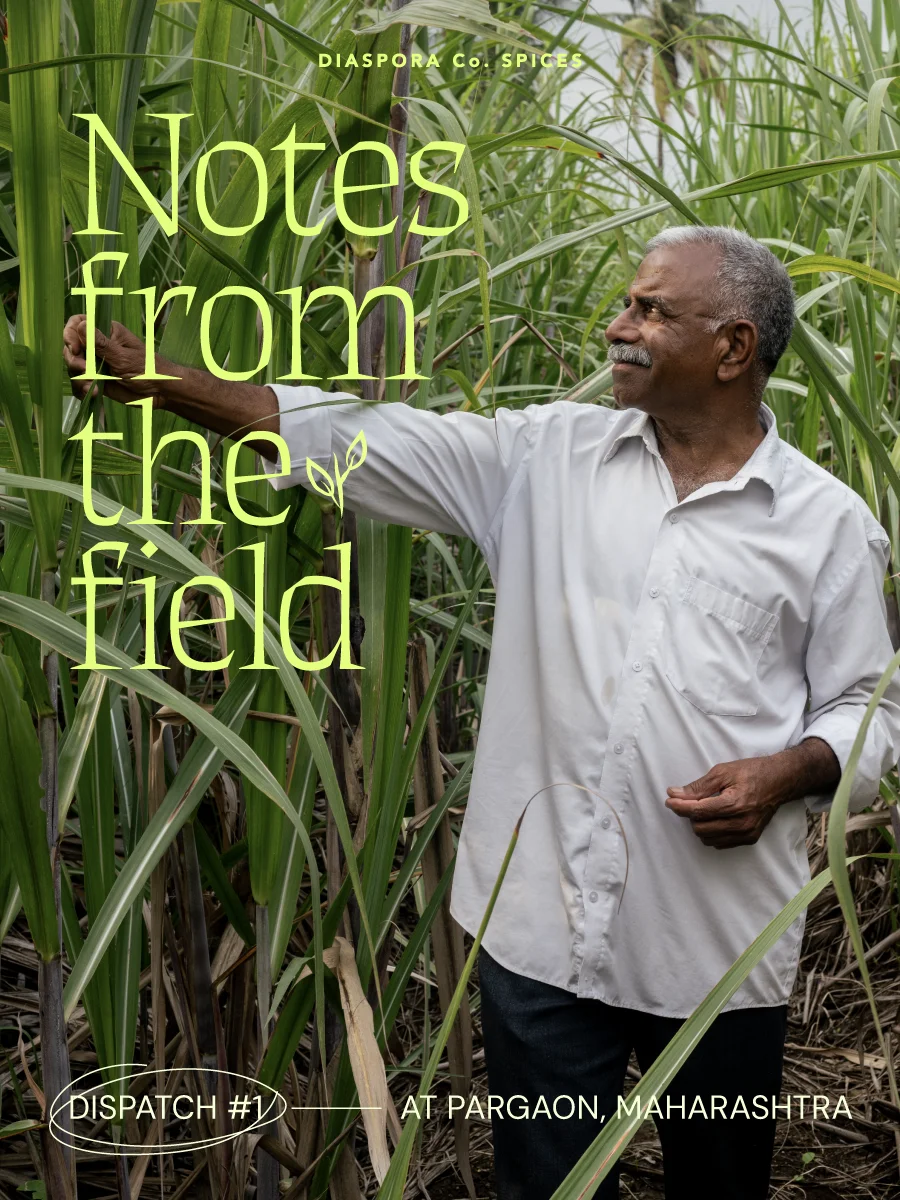 Notes from the Field. Dispatch 1: at Pargaon, Maharashtra