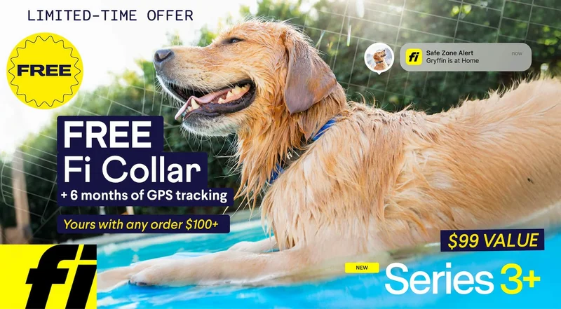 LIMITED-TIME OFFER FREE Fi Collar + 6 months of GPS tracking Yours with any order $100+. No code needed. $99 VALUE