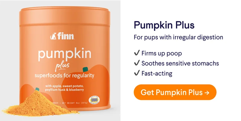 Pumpkin Plus. For pups with irregular digestion. Firms up poop. Soothes sensitive stomachs. Fast-acting. Get Pumpkin Plus