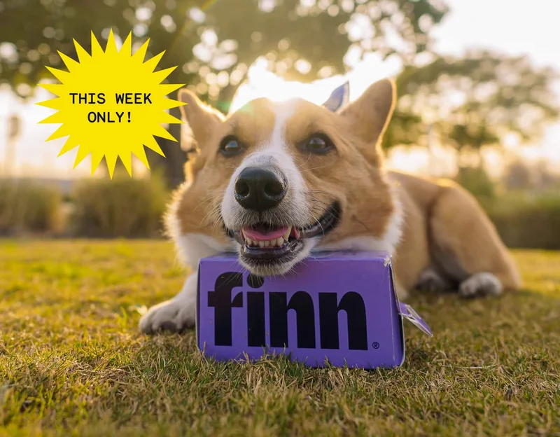 Corgi with head resting on purple box of Finn 92% BioBased Poop Bags. Callout: "THIS WEEK ONLY!"