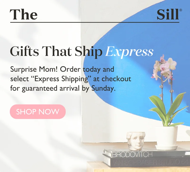 Surprise Mom! Order today and select Express Shipping at checkout for guaranteed arrival by Sunday.