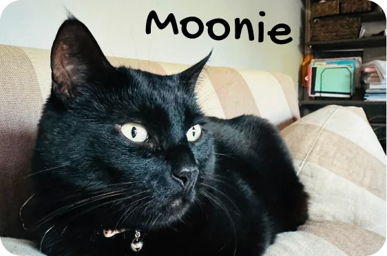 Moonie