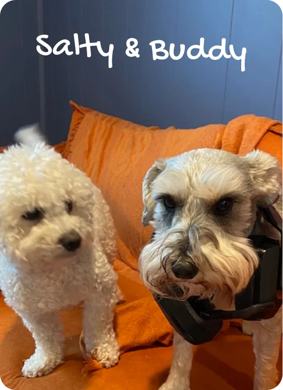 Salty & Buddy