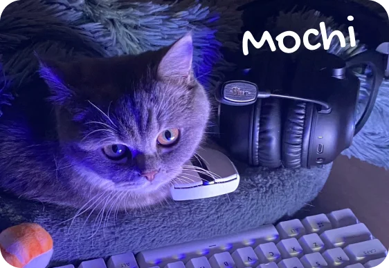 Mochi