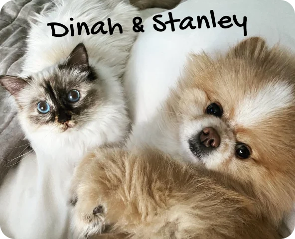 Dinah & Stanley