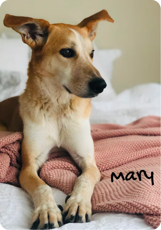 Mary